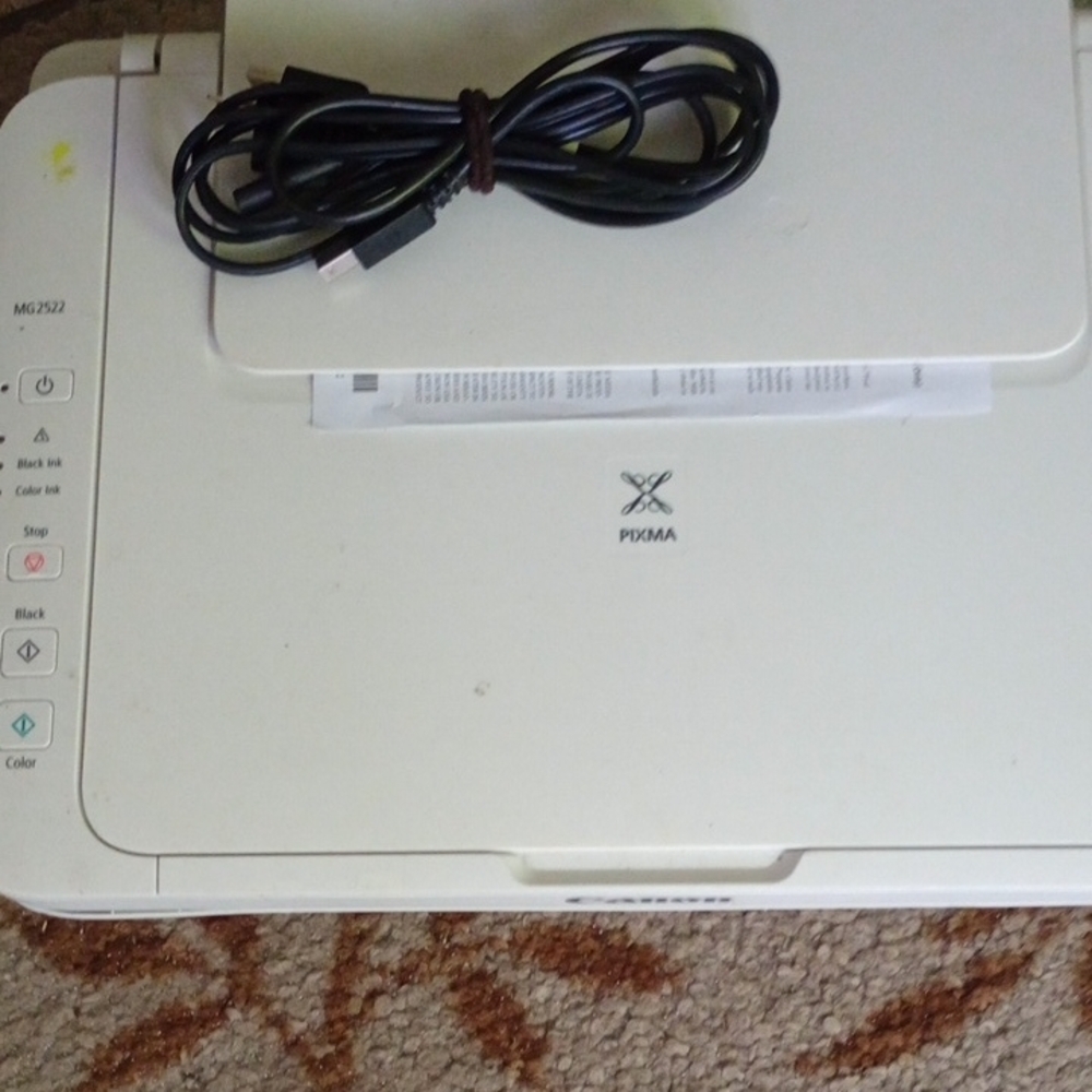 Canon PIXMA MG2522 Printer - White
